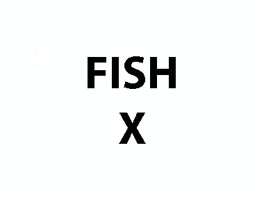 FISH X