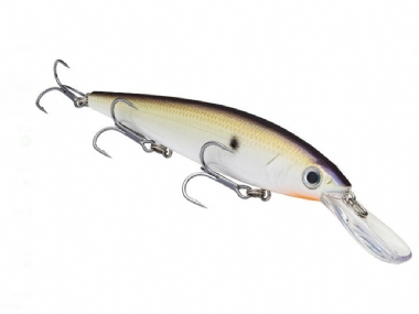 TN SHAD 2.0