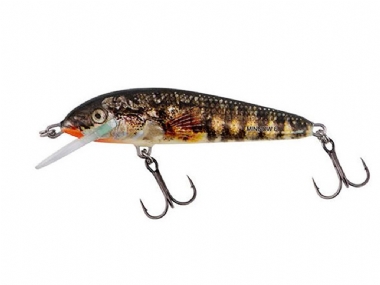 HOLO STICKLEBACK