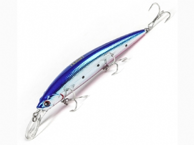 NEON GOBY 172