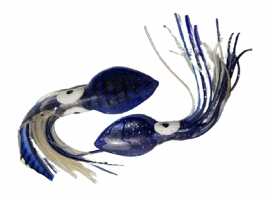 GANIS SQUID 4