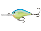 CARIBBEAN SHAD
