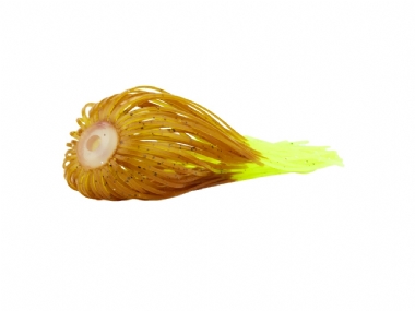PUMPKIN CHARTREUSE TIP