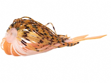 GOLDEN SHINER ORANGE TAIL