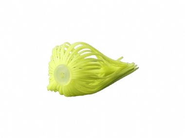 HOT CHARTREUSE