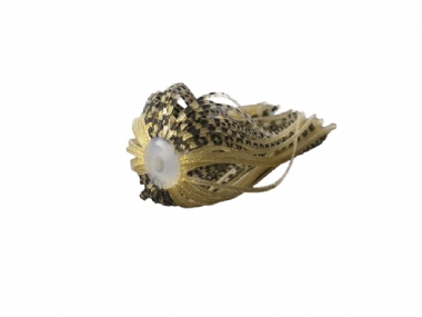 GOLD BAITFISH