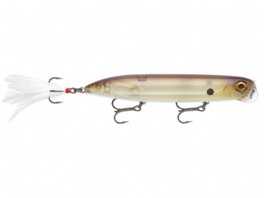 MATTE SHAD (MTSD)