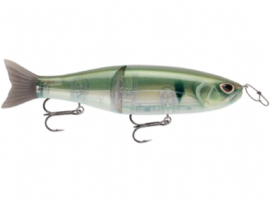 GHOST GIZZARD SHAD	