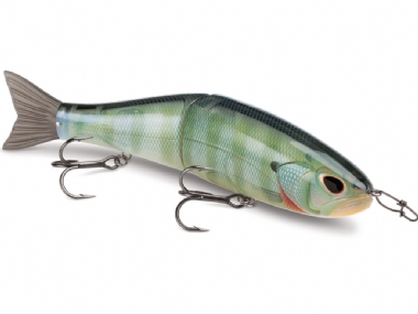 BLUEGILL