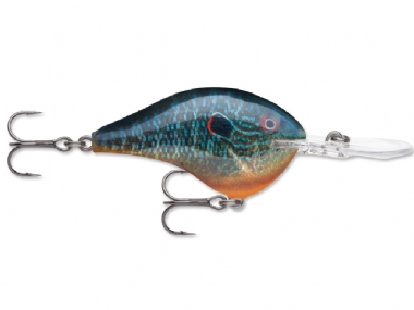 LIVE PUMPKINSEED