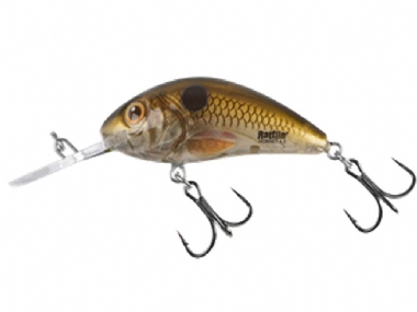 PEARL SHAD CLEAR