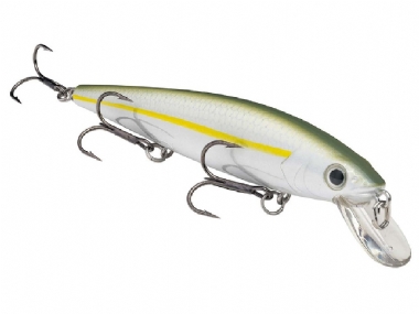 SEXY BLUE BACK HERRING