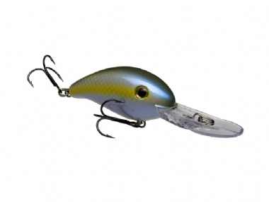 SEXY BLUE BACK HERRING