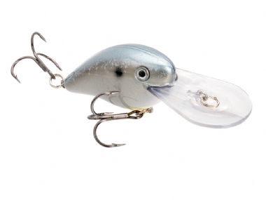 SEXY SHAD 2.0
