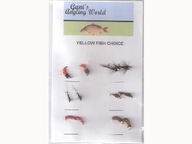 GANIS YELLOW  FISH CHOICE (PACK 2)