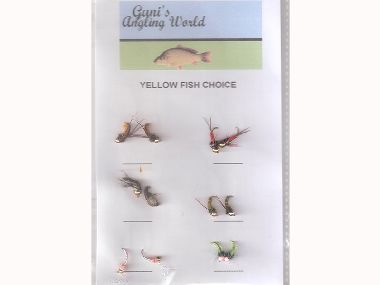 GANIS YELLOW  FISH CHOICE (PACK 4)