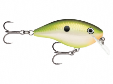 BRUISED CITRUS SHAD (BCTS)