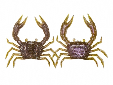 GHOST CRAB