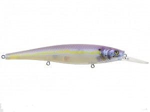 CHARTREUSE SHAD