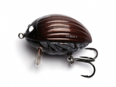 MAY BUG