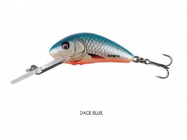 DACE BLUE