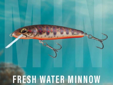 FRESH WATER MINNOW