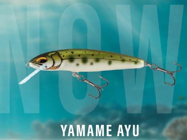 YAMAME AYU