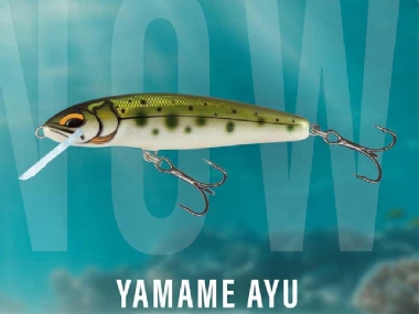 YAMAME AYU