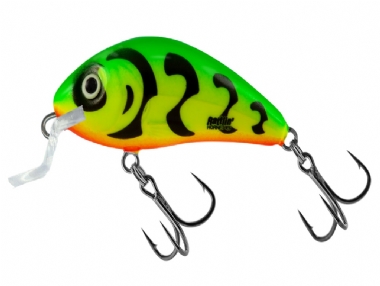 GREEN TIGER