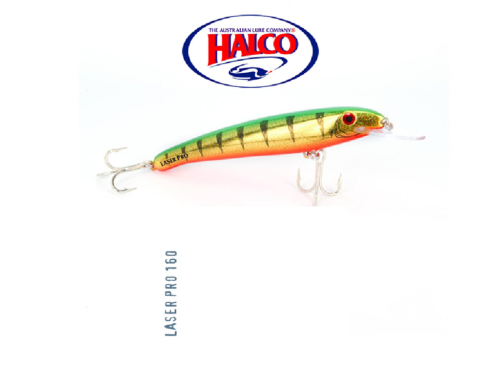 Halco Laser Pro 160DD #H57 Bait Fish 30gm/1.06oz 160mm/6.3 Trolling Lure  Tuna