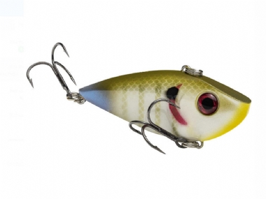 SEXY SUNFISH