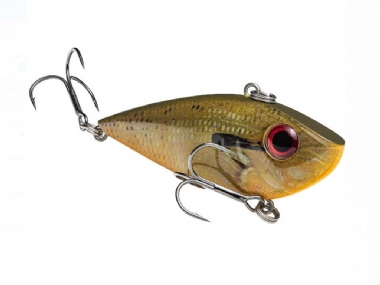 ORANGE BREAM