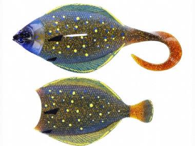 PEACOCK FLOUNDER