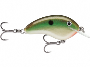 COPPER GREEN SHAD (CGSD)