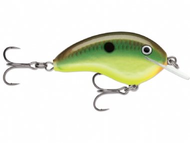 HOT COPPER GREEN SHAD (HCGSD)