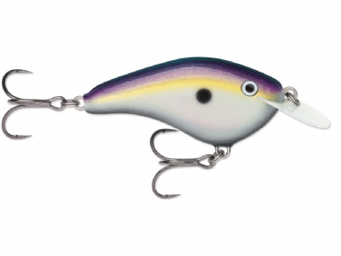 BIG SHAD (BGSD)