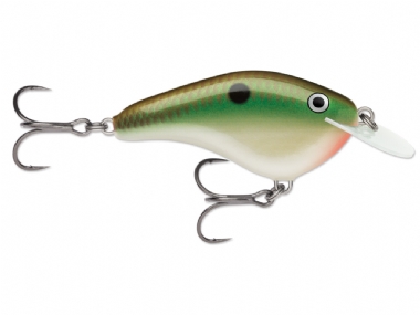 COPPER GREEN SHAD (CGSD)