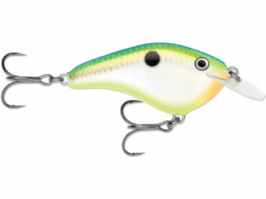 CITRUS SHAD (CTSD)