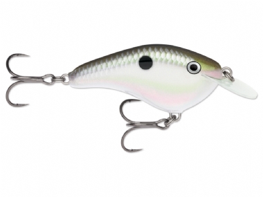 GREEN GIZZARD SHAD (GGSD)
