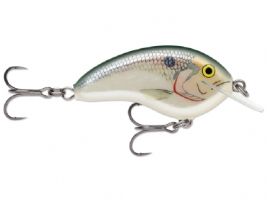 SHAD (SD)