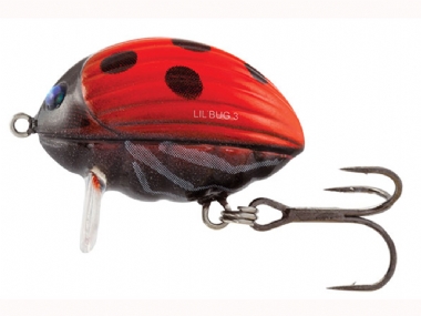 LADYBIRD
