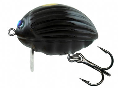 BLACK BUG