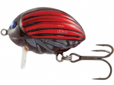 BLOODY BUG