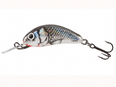 HOLO GREY SHINER