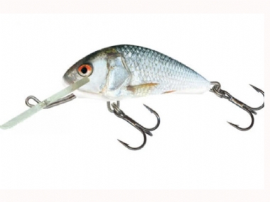 REAL DACE
