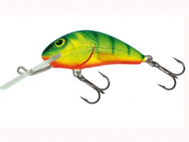 HOT PERCH