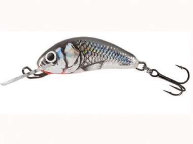 HOLO GREY SHINER