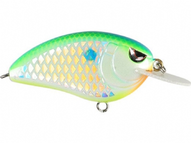 CITRUS SHAD