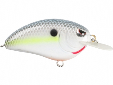 NASTY SHAD