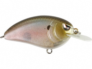 SPOOKY SHAD
